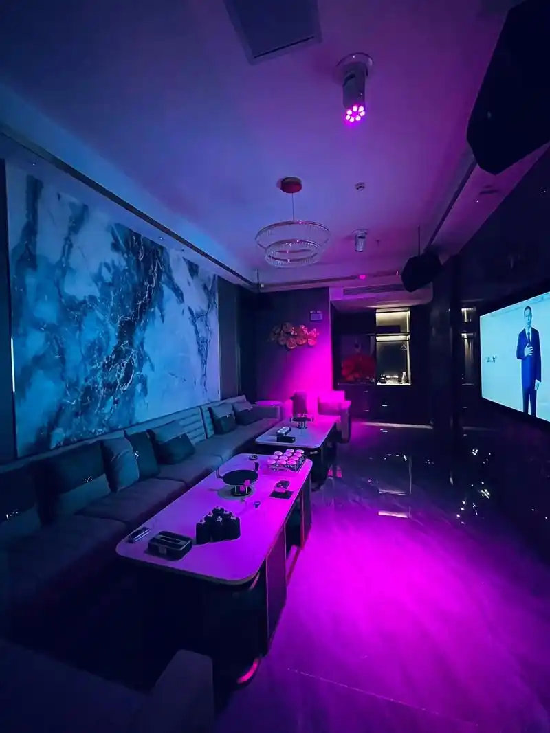 鸡西商务ktv收费标准-梨树区ktv预定